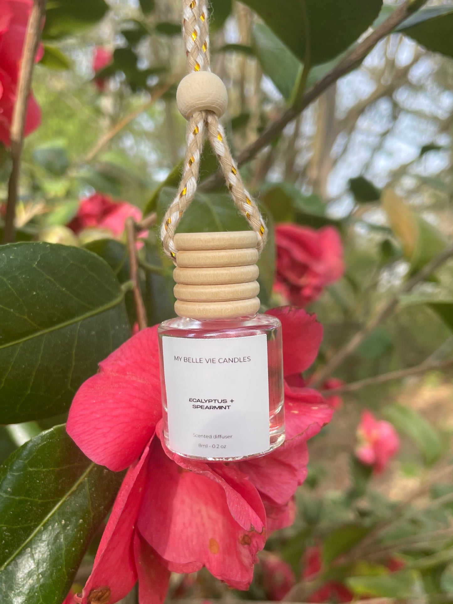Scented car diffuser